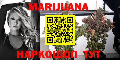 шишки Коммунар