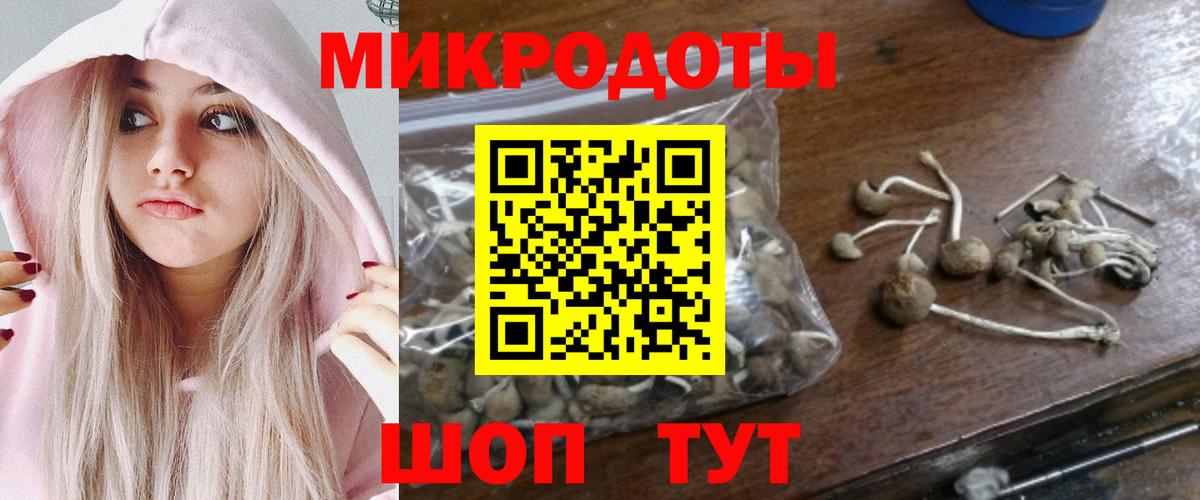 Псилоцибиновые грибы мицелий  Вход с VPN  Зеленогорск 