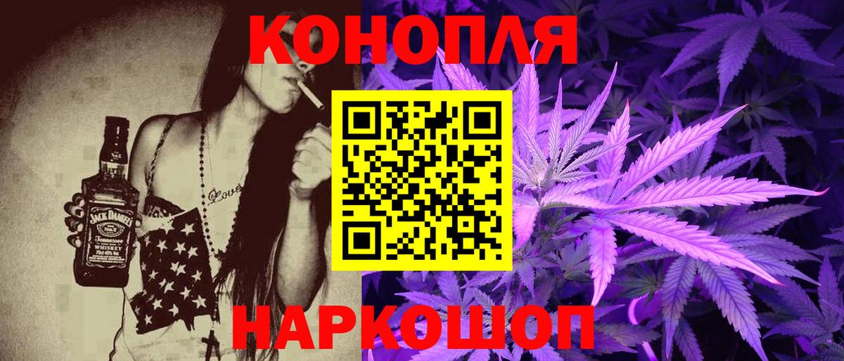 Каннабис план  Бошки марихуана Bruce Banner  Вход с VPN  Зеленогорск  Марихуана семена 